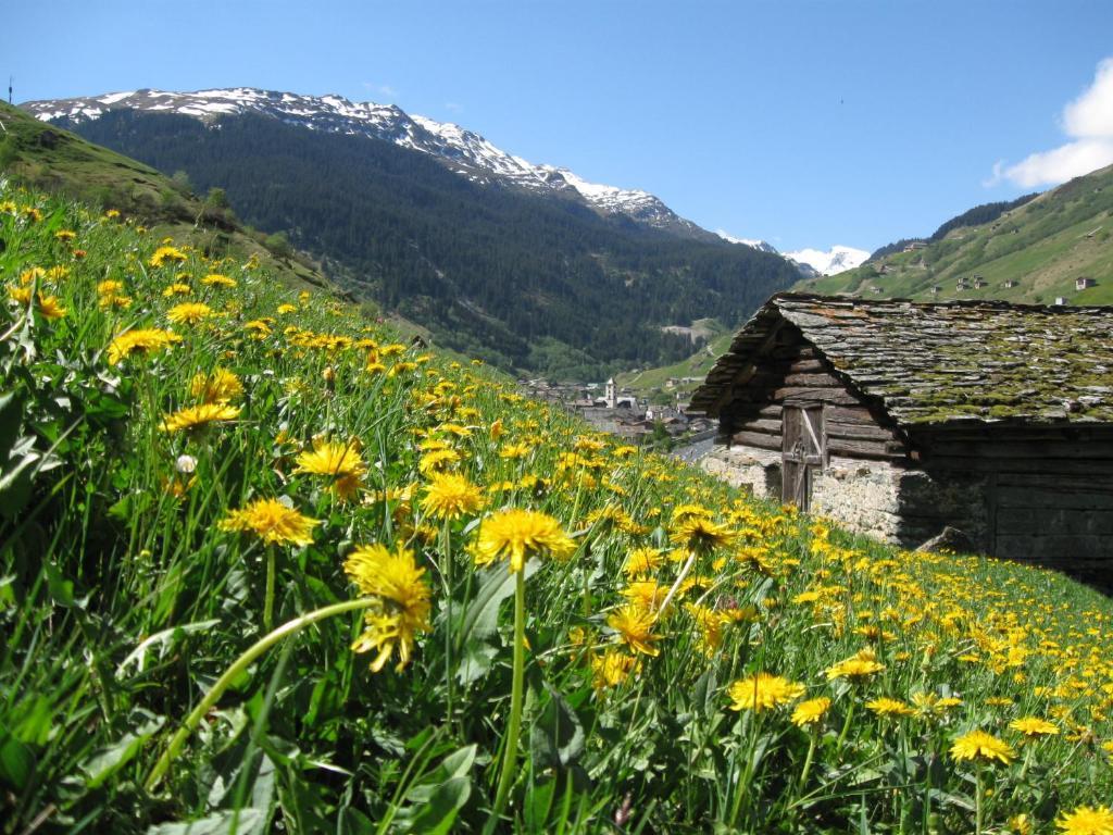 Ferienwohnung Mura Vals Kültér fotó