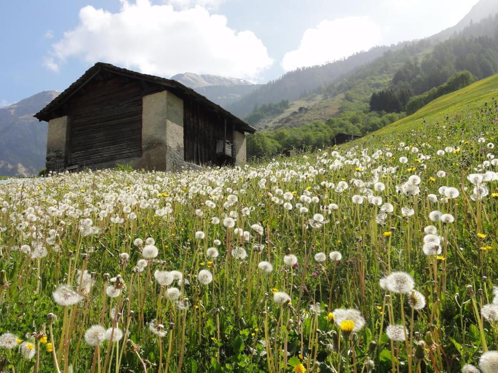 Ferienwohnung Mura Vals Kültér fotó
